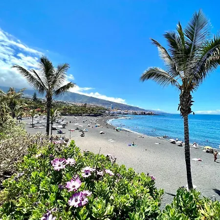 Reformed Studio, Free Wifi,rooftop Pool With View, Near Playa Jardin
